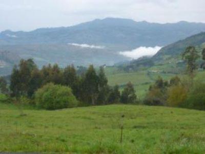 Apartmán El Hogar De La Castanera Colombres Exteriér fotografie